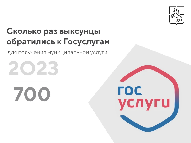 Порядка 700 заявлений на получение муниципальной услуги выксунцы подали через "Госуслуги"